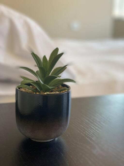 Prime Location! 1 Bedroom Apt In Tlv Beating Heart Tel Aviv Ngoại thất bức ảnh