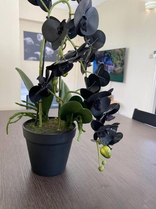 Prime Location! 1 Bedroom Apt In Tlv Beating Heart Tel Aviv Ngoại thất bức ảnh